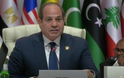 فرنسا: نثمن جهود مصر لإدخال المساعدات إلى غزة