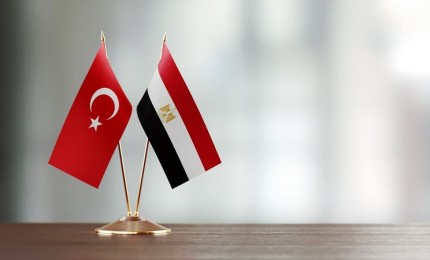وزيرا خارجية مصر وتركيا يؤكدان على التنسيق في غزة
